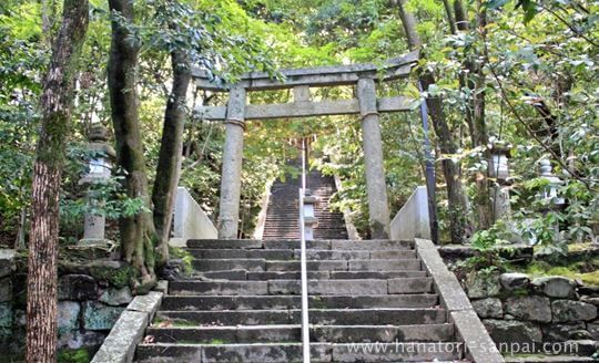 美具久留御魂神社の石段