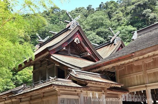 美保神社の社殿の屋根