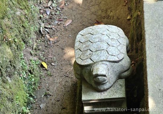 美保神社の幸運の亀