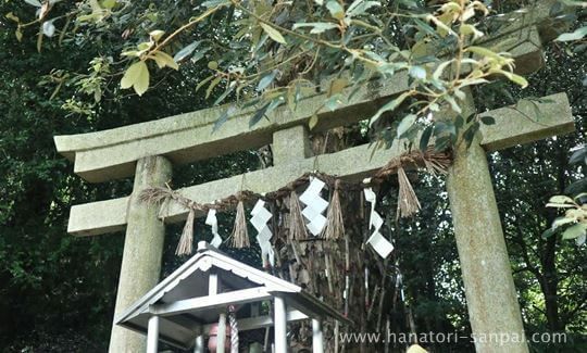 丹生酒殿神社の鎌八幡の鳥居