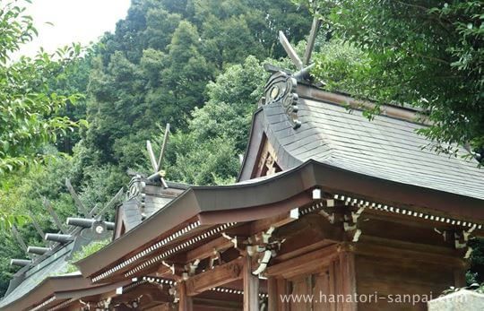 丹生酒殿神社の本殿