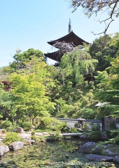 當麻寺中之坊の庭園