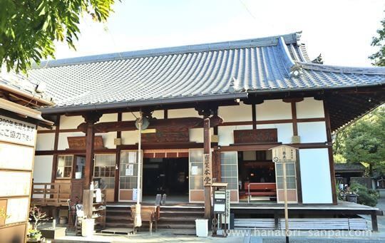 戒光寺の本堂