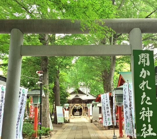 田無神社の境内