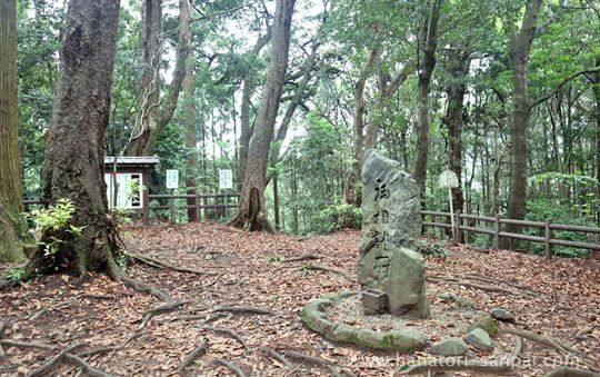 談山神社の談い山