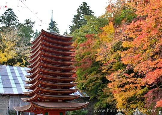 紅葉の談山神社境内