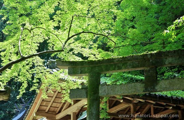 奈良の等彌神社