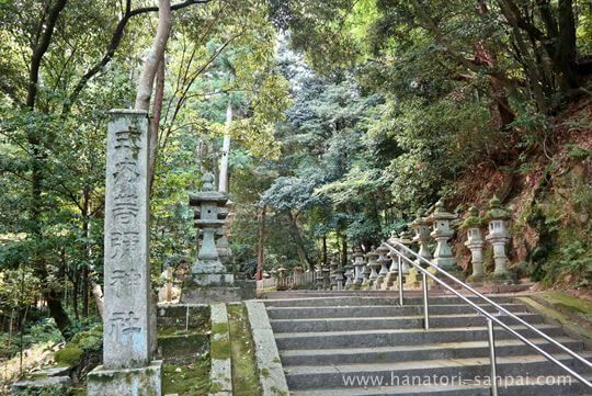 等彌神社の参道