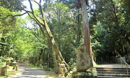 等彌神社の境内