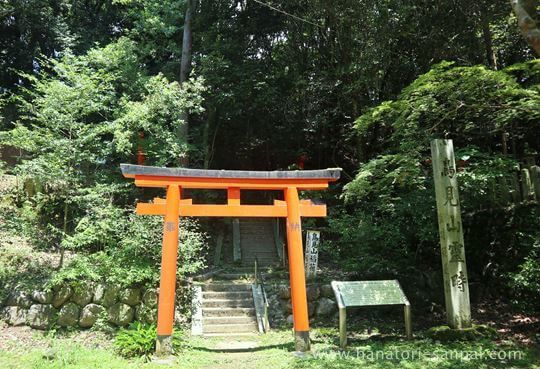 等彌神社から鳥見山霊畤への道