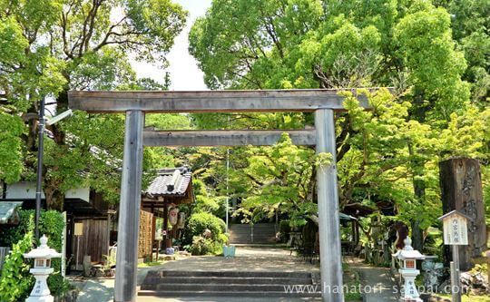 等彌神社の正面