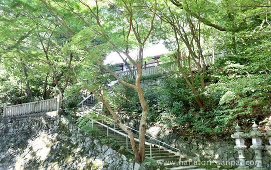 葛木坐火雷神社の境内