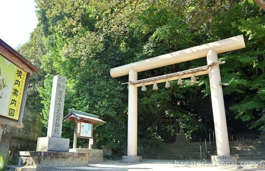 葛木坐火雷神社の鳥居と社号標