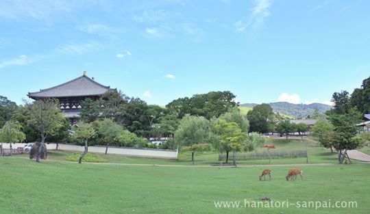 東大寺大仏殿を西から