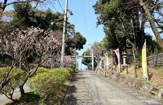 上宮天満宮の参道