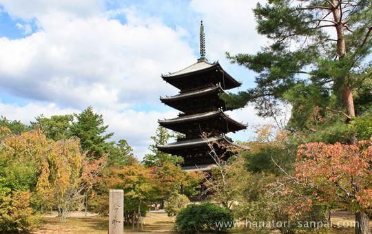 仁和寺の境内