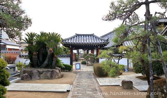 奈良阿弥陀寺の境内