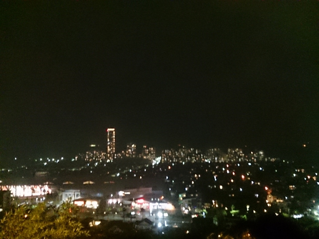 f:id:hanatoring:20170726031021j:plain f:id:hanatoring:20170726031021j:plain