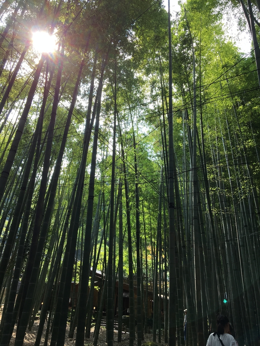f:id:hanatubaki13:20191226104933j:plain