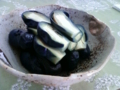 20100817103341