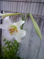 20100820083205