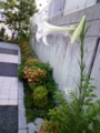 20100820084002