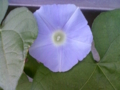 20100915071928