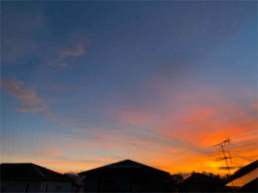 f:id:hanautabiyori:20251002152929j:image