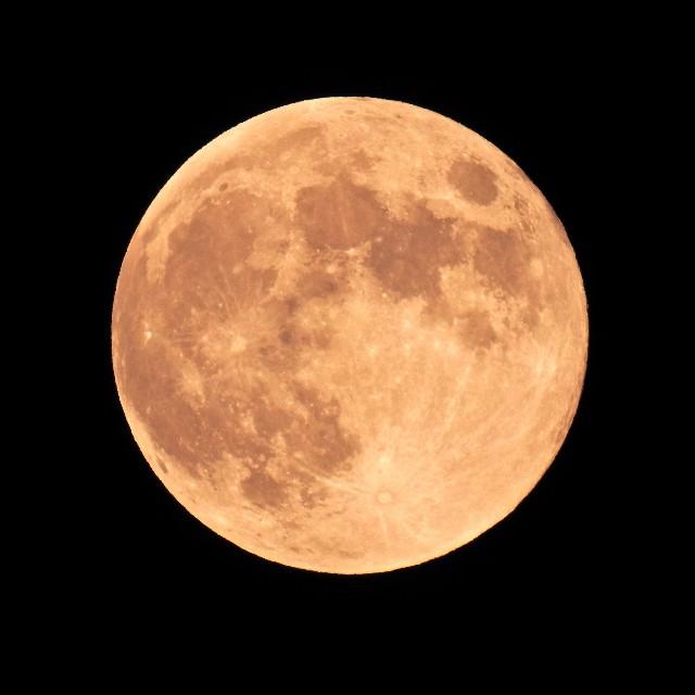 f:id:hanautaneko:20190627212558j:image