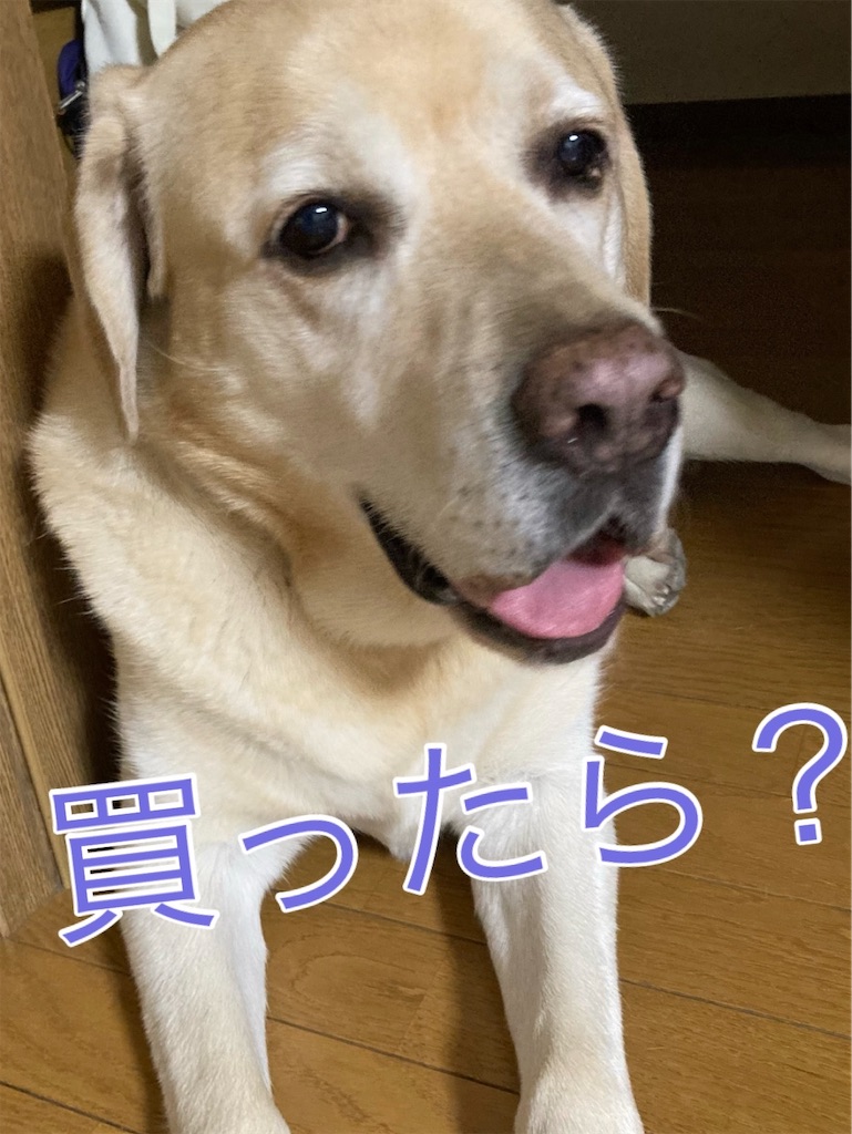 f:id:hanawantan:20221029090124j:image