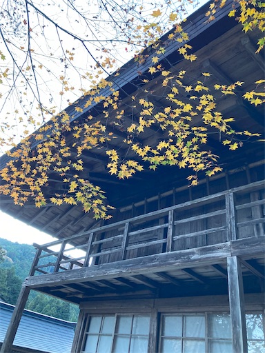 f:id:hanawantan:20221127165423j:image
