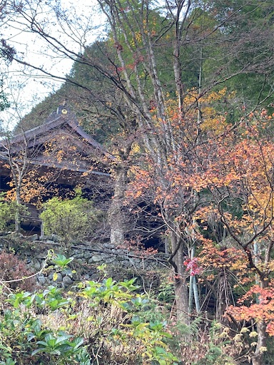 f:id:hanawantan:20221127180521j:image