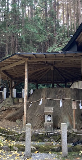 f:id:hanawantan:20221127205513j:image