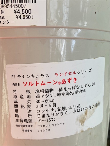 f:id:hanawantan:20230221070756j:image