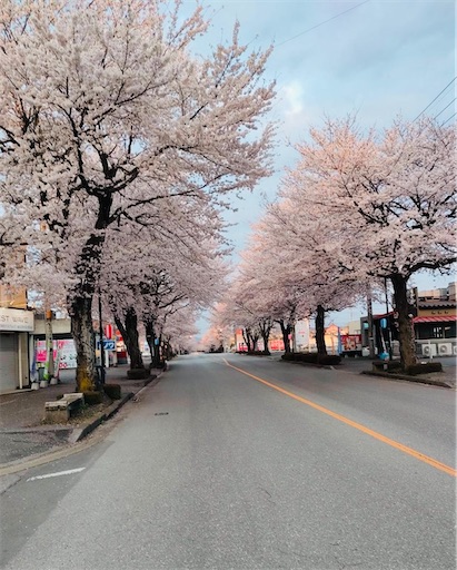 f:id:hanawantan:20230329074117j:image