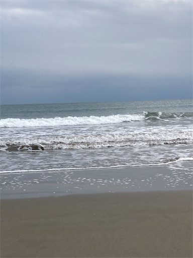 f:id:hanawantan:20231112203141j:image