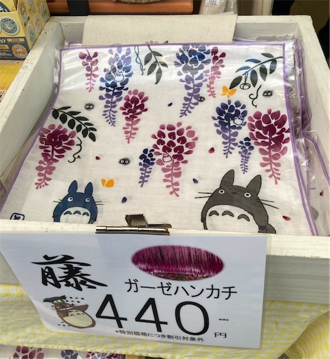 f:id:hanawantan:20240107142120j:image