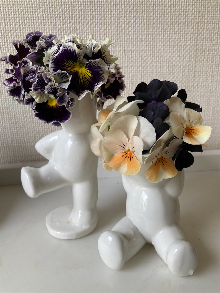 f:id:hanawantan:20240529212323j:image