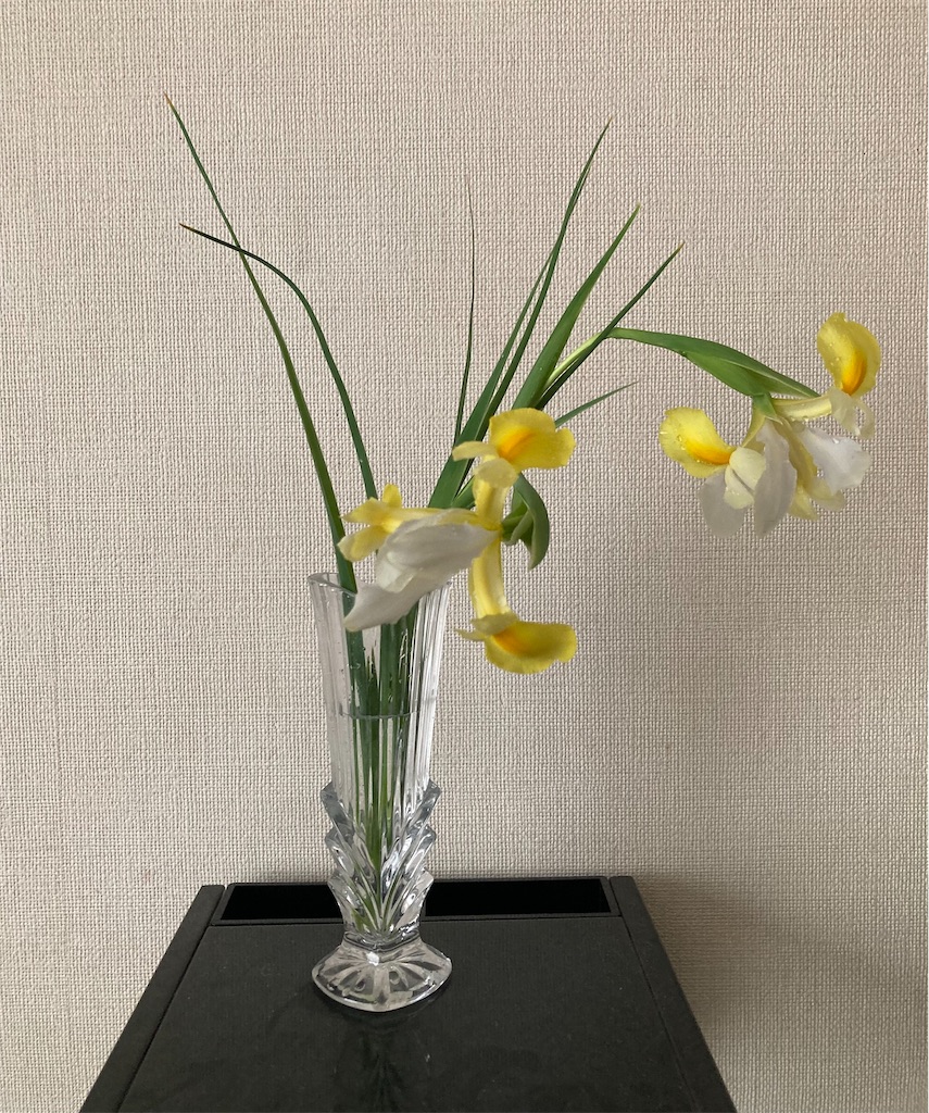 f:id:hanawantan:20240529212832j:image