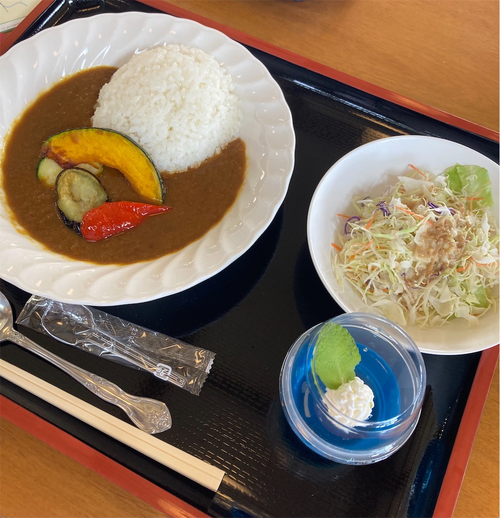 f:id:hanawantan:20240602085715j:image