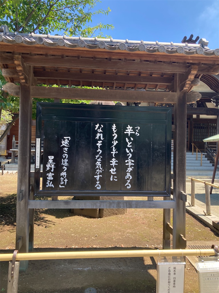 f:id:hanawantan:20240617114250j:image