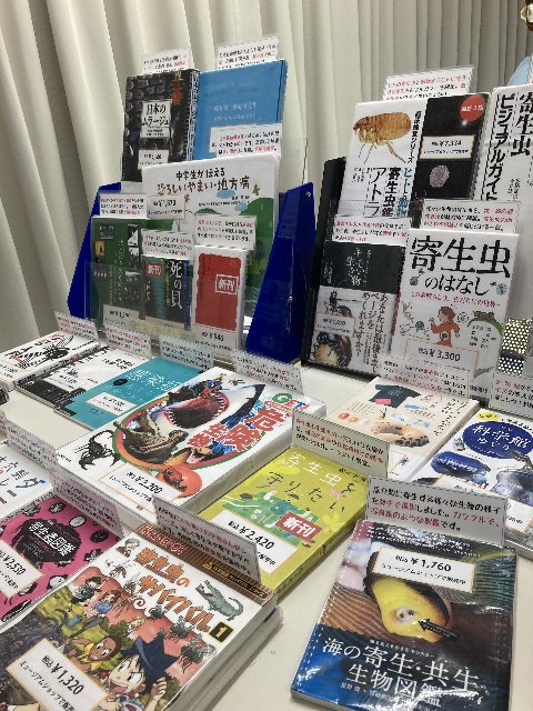 f:id:hanawantan:20240622204537j:image