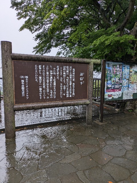 f:id:hanawantan:20240626212059j:image