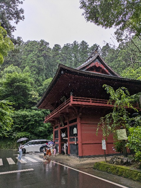 f:id:hanawantan:20240626213546j:image