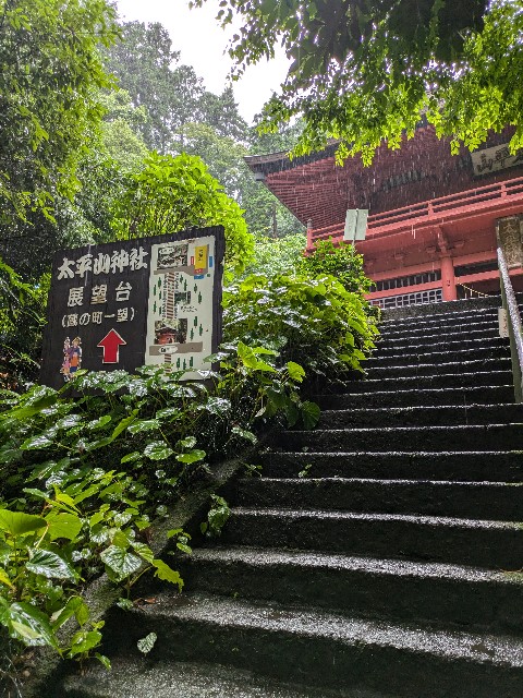f:id:hanawantan:20240626214907j:image