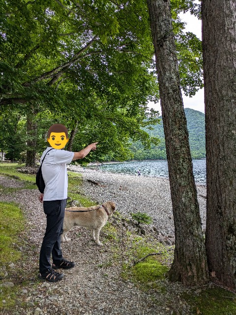 f:id:hanawantan:20240704210836j:image