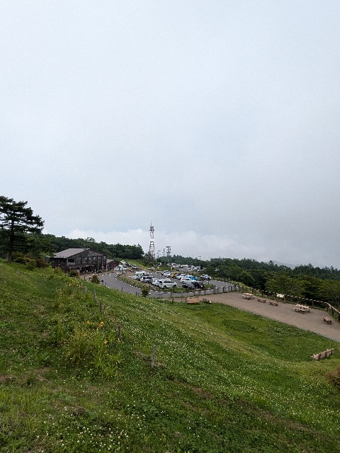 f:id:hanawantan:20240707195314j:image