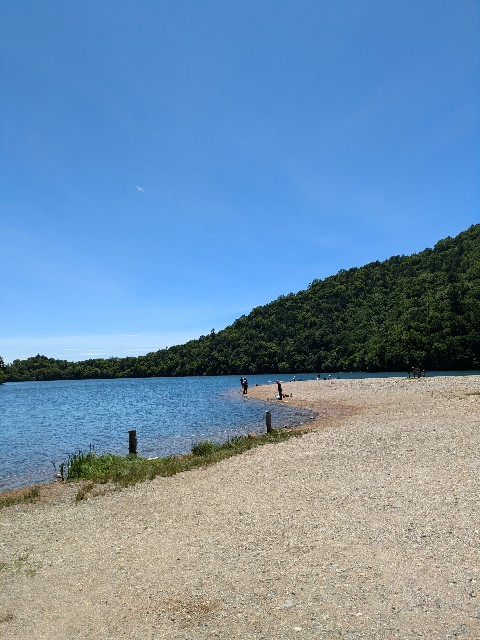 f:id:hanawantan:20240710234208j:image