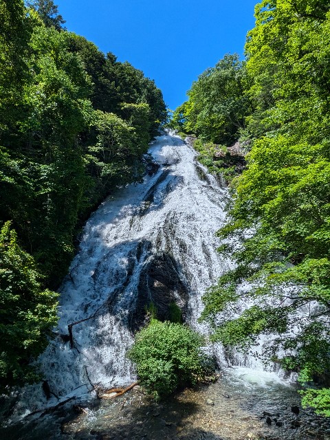 f:id:hanawantan:20240710234614j:image