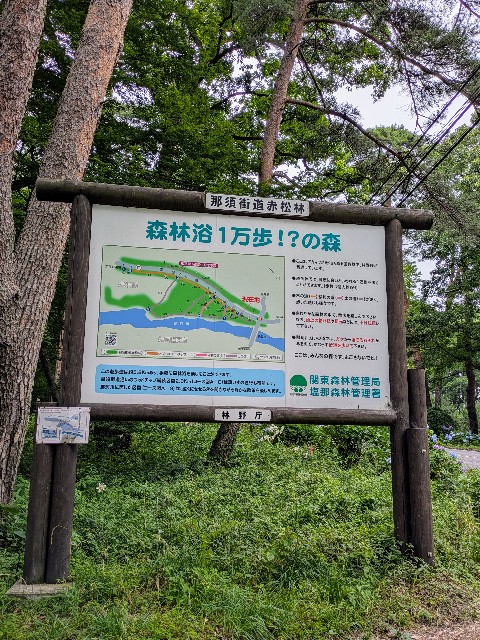 f:id:hanawantan:20240715212520j:image
